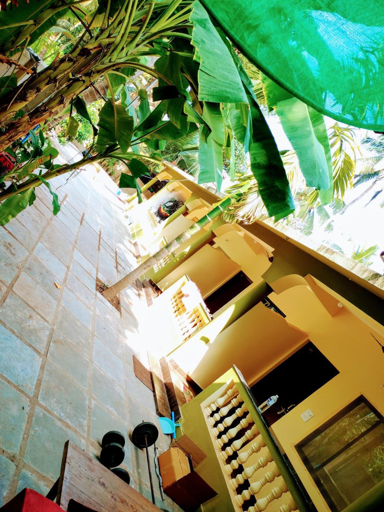 One Love Guest House Morjim Exterior foto